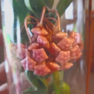 Meet your Posher, Kat